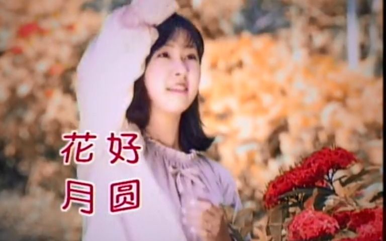 [图]【全文军】卓依婷-花好月圆