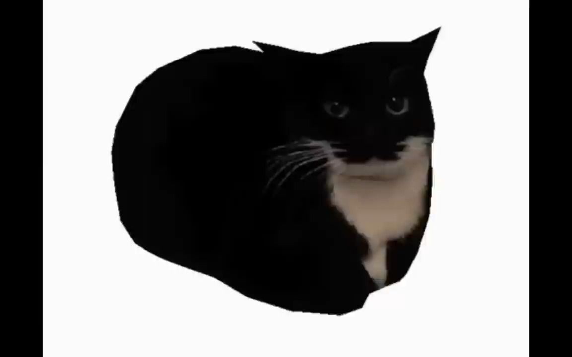 【搬运】maxwell the cat theme 1 hour