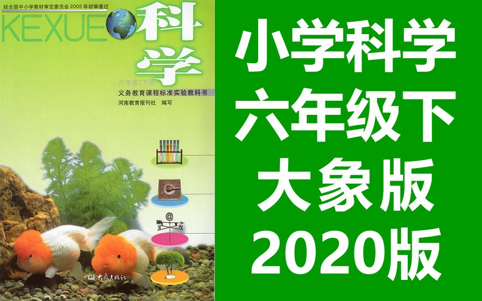 小学科学六年级科学下册 大象版 2020新版 科学6年级科学 河南版 大象出版社(教资考试)哔哩哔哩bilibili