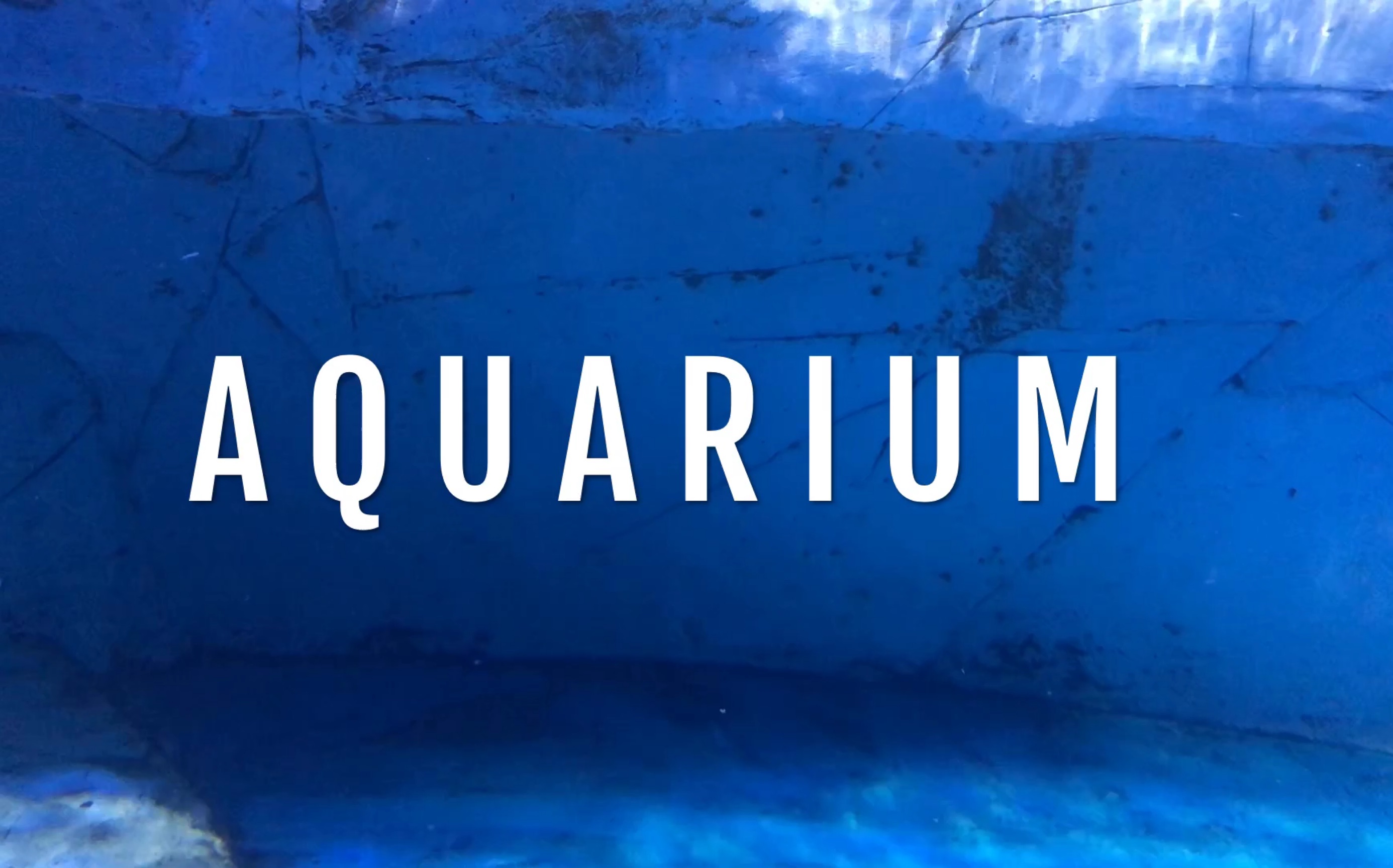 [图]Vlog.002:AQUARIUM