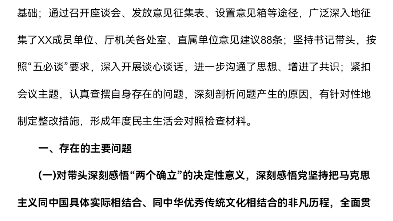 领导班子民主生活会对照材料哔哩哔哩bilibili