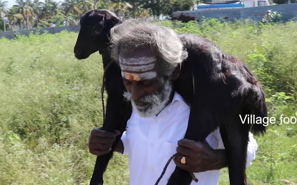 印度六爷性感小黑羊摇身一变成美味