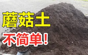 Video herunterladen: 种蘑菇的土不简单, 什么是蘑菇土, 种菜正确使用办法