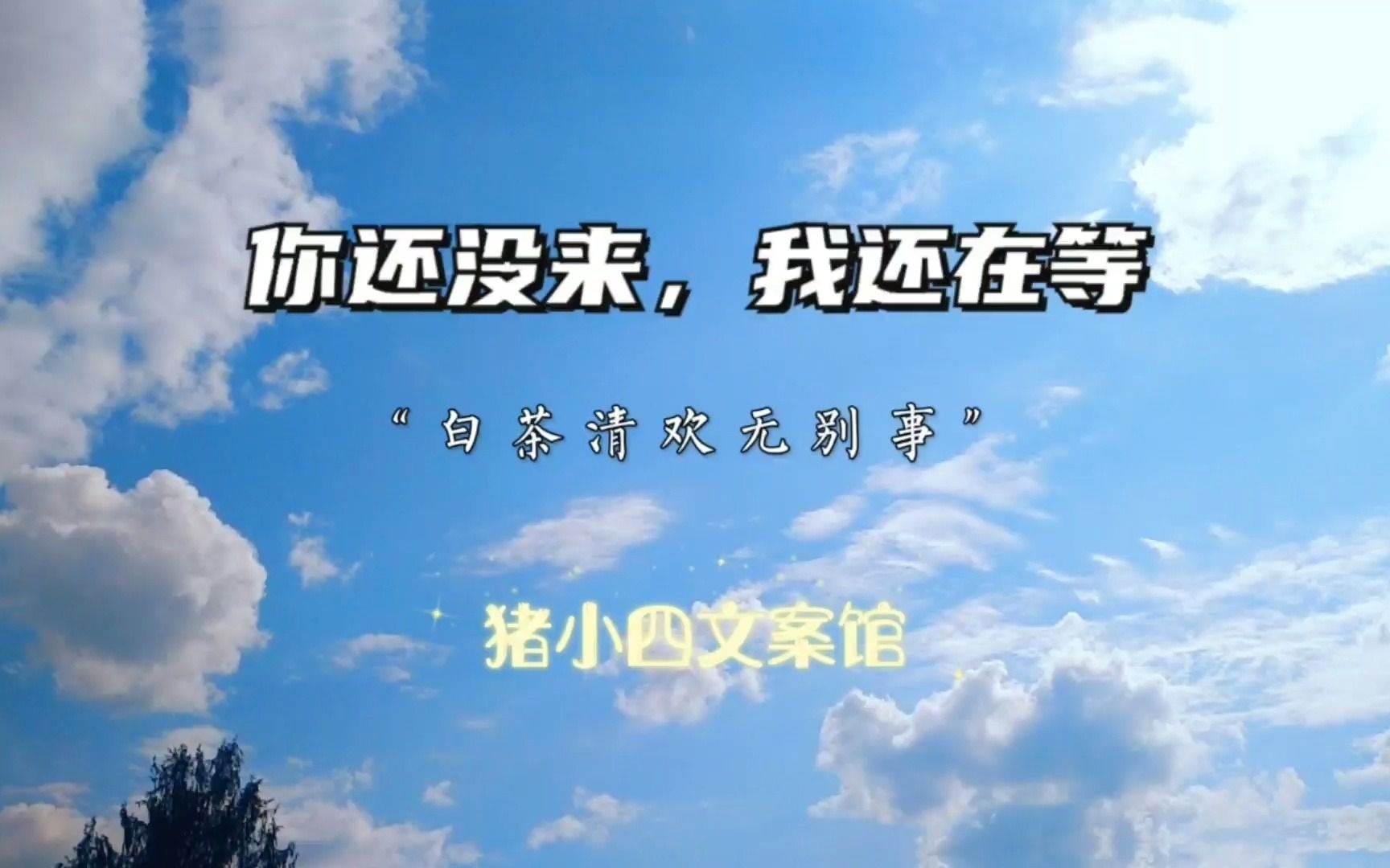 文案—白茶清欢无别事,下一句你们来