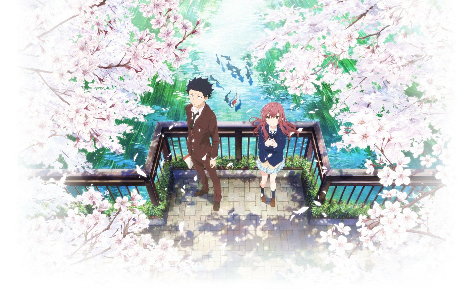 【声之形推广曲 see you again】樱花漫天 青春悠悠