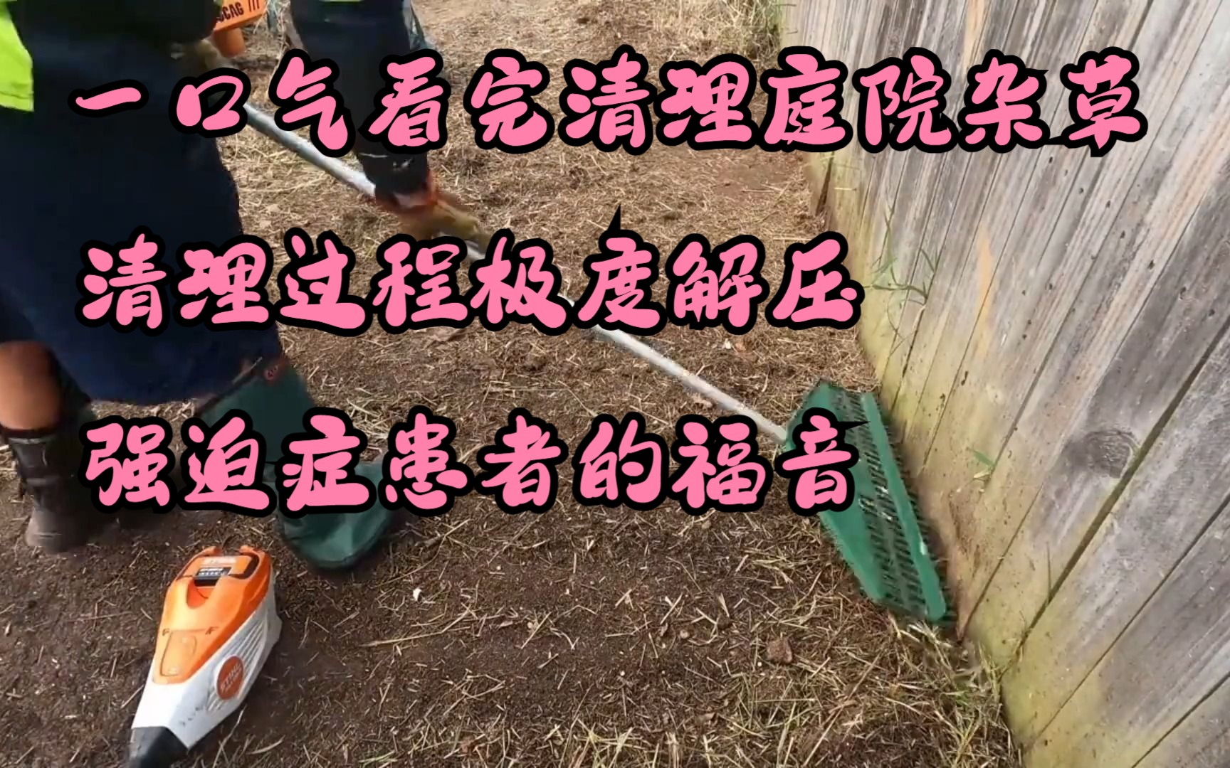 清理庭院杂草,干这活的是不是都有强迫症 #极度舒适 #除草哔哩哔哩bilibili