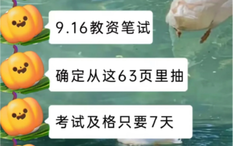 2023下教资笔试重点笔记63页,粉笔教资重点笔记!综合素质教育知识与能力 科目一科目二重点笔记,码住开始背!非师范背完也能90+!考试就从这63页...