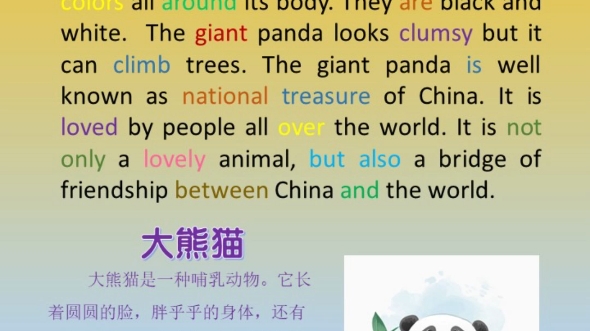 优秀英语作文|大熊猫 The Giant Panda 英语作文系列之十六哔哩哔哩bilibili