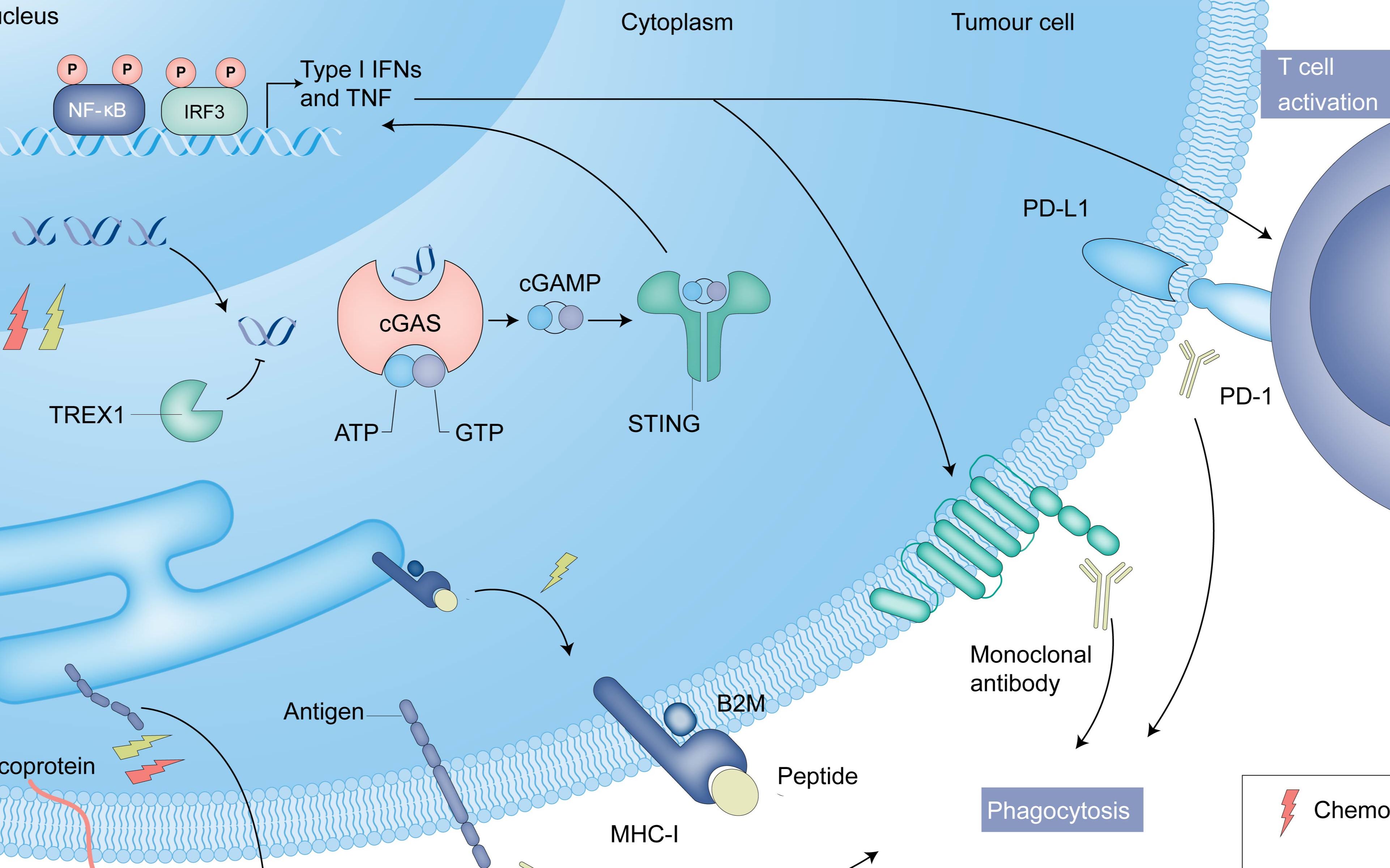 科研插图练习(二十-完整讲解)