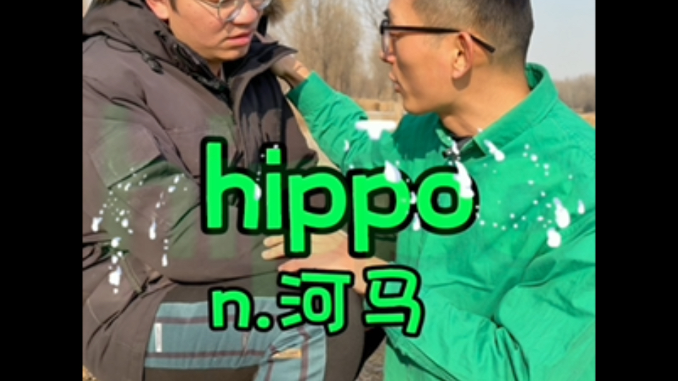 hippo【河马】嗨,我的屁屁是圆的crystal【水晶】哭泣的石头像水晶哔哩哔哩bilibili