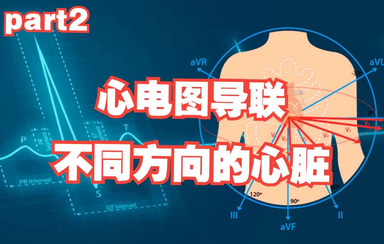 最强读心术心电图基础part2 肢体导联+胸壁导联 如何建立立体观(暴虐带教老师系列)哔哩哔哩bilibili