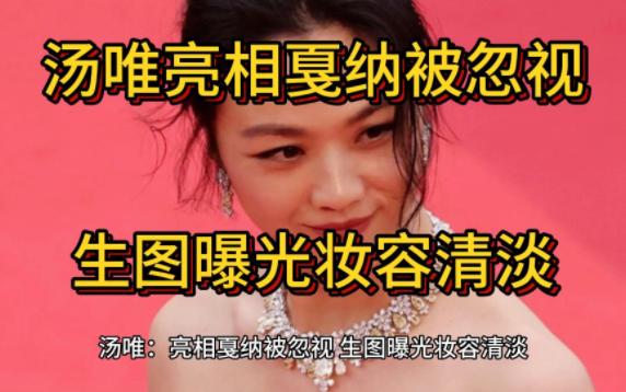 汤唯:亮相戛纳被忽视,生图曝光妆容清淡,合照显得格格不入哔哩哔哩bilibili