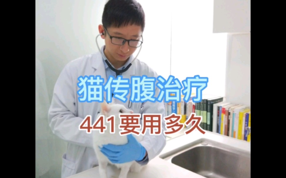 猫传腹(FIP)治疗:441怎么用?用多久?哔哩哔哩bilibili