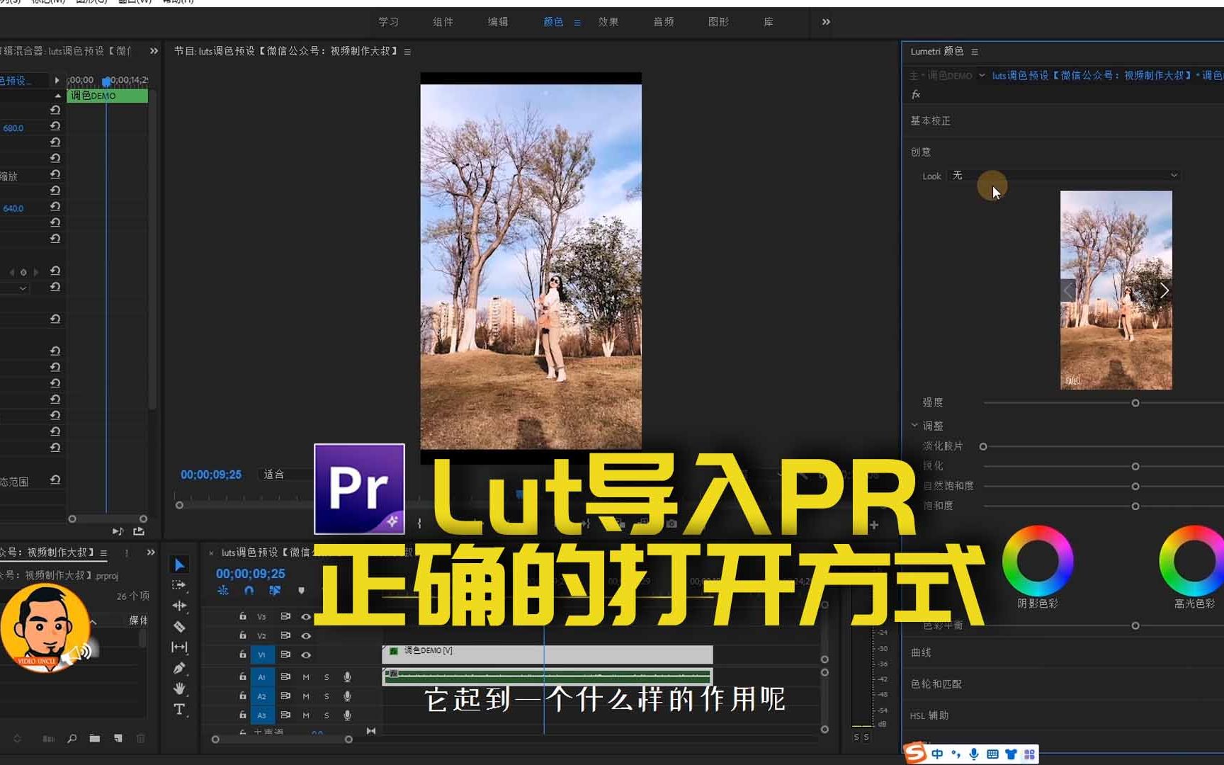 LUT调色预设导入PR教程详解版! 确定自己下载的lut用不了吗?哔哩哔哩bilibili