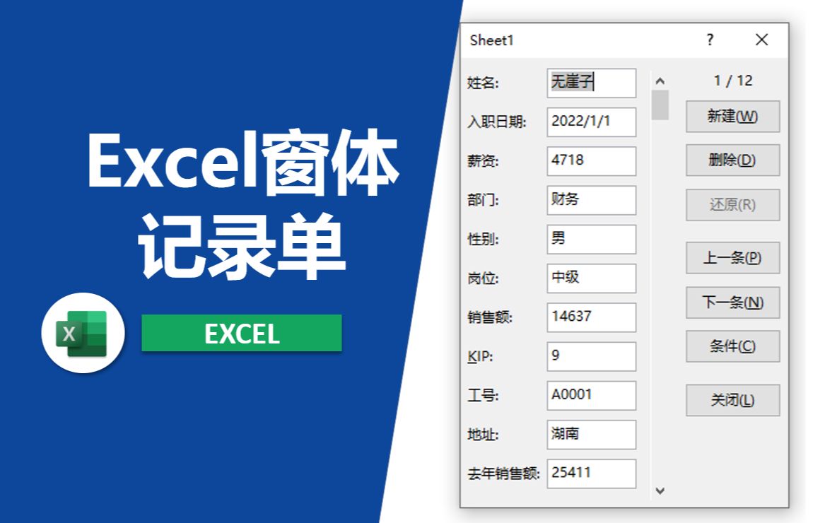 Excel记录单输入数据简易窗体