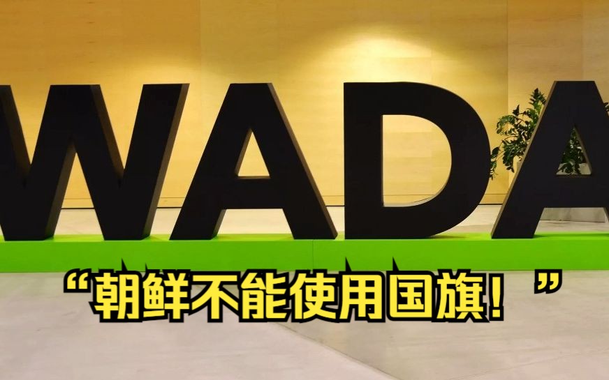 因朝鲜在亚运会开幕式上使用国旗,世界反兴奋剂机构威胁制裁亚奥理事会哔哩哔哩bilibili