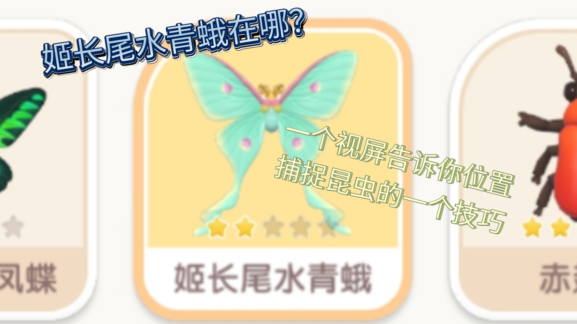 姬长尾水青蛾怎么找?我告诉你啊)