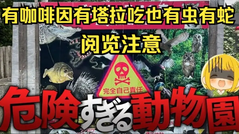 ゲーム実況者グループ 神殿花鳥 タオル 愛の戦士 はんじょう なな湖 とりっぴぃ - タオル