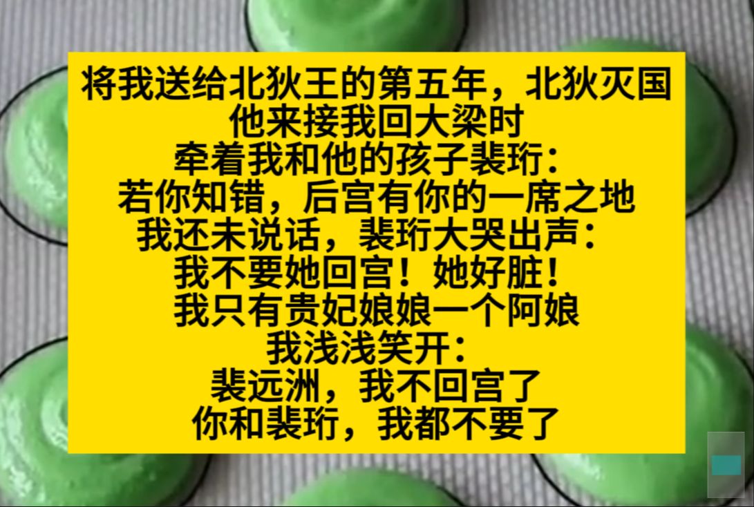 将我送给北狄王的第五年,被狄灭国,他来接我回家,却说……小说推荐哔哩哔哩bilibili