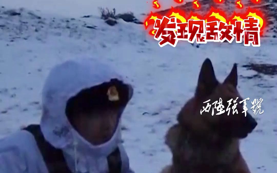 [图]无言的“战友”，陪伴边防战士踏雪巡逻！