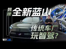 Download Video: 30万的魏牌全新蓝山值得买吗？传统车企的无图智驾NOA体验好不好？