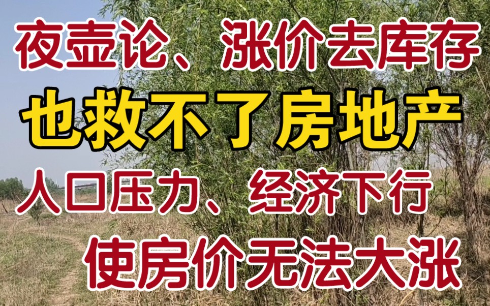 夜壶论,涨价去库存也救不了房地产,人口压力,经济下行使房价无法大涨哔哩哔哩bilibili