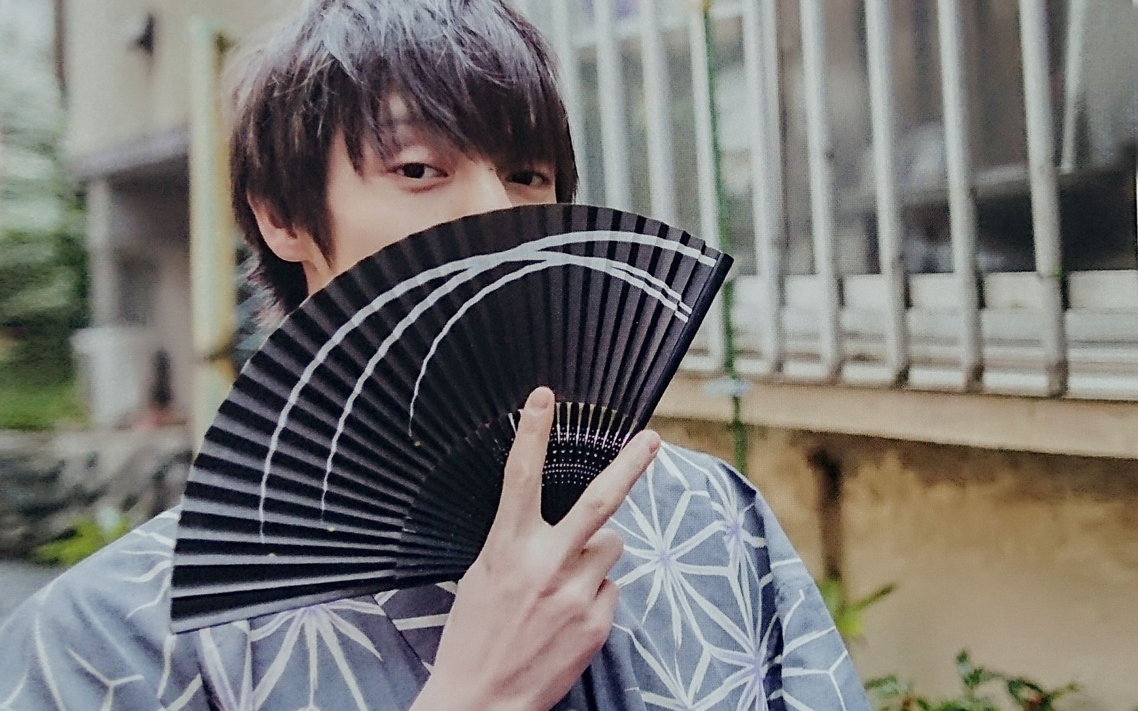 洼田正孝关于狮子座大喵的饲养研究报告masa29岁生贺