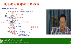 Download Video: 第二章 遗传的细胞学基础-配子的形成与受精-被子植物雌雄配子的形成-茶创2021级