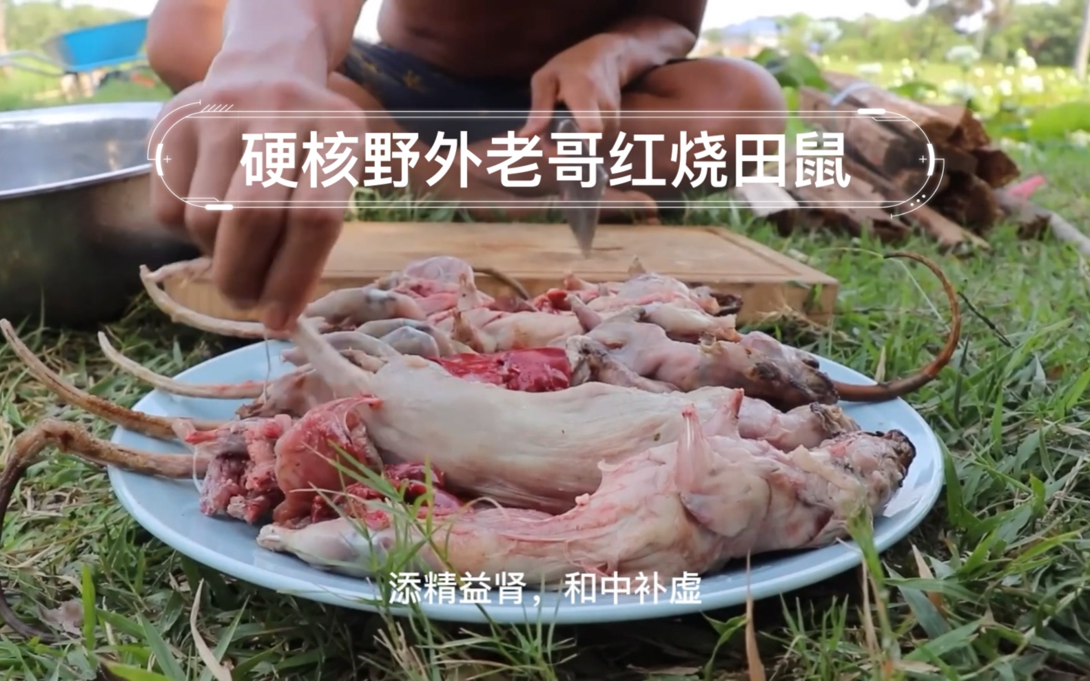 越南老哥野外红烧田鼠嘎嘣脆