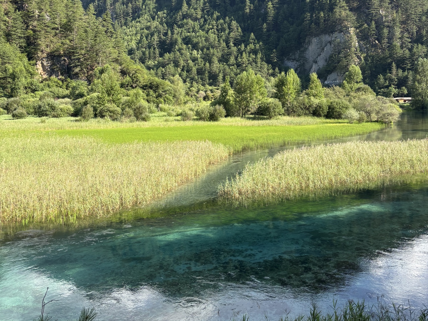 旅游合集 四川阿坝藏族羌族自治州 九寨沟