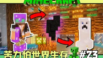 苦力怕世界生存 我的世界 #23