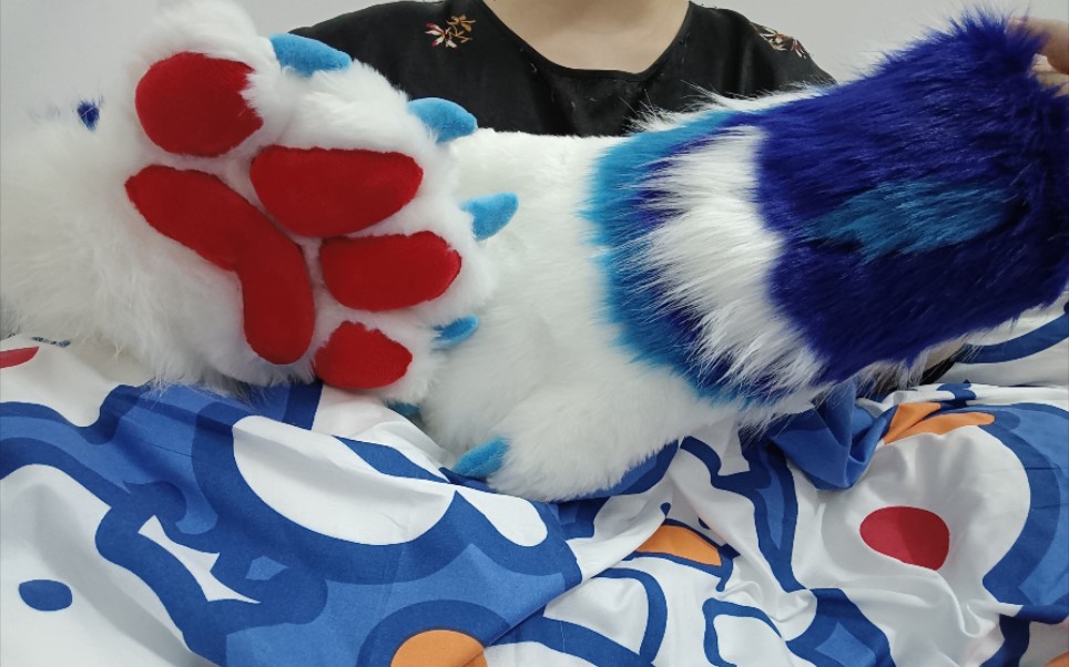 兽爪展示是可爱的爪爪