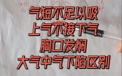 气短不足以吸,上气不接下气,胸口发焖,大气下陷和中气下陷的区别哔哩哔哩bilibili