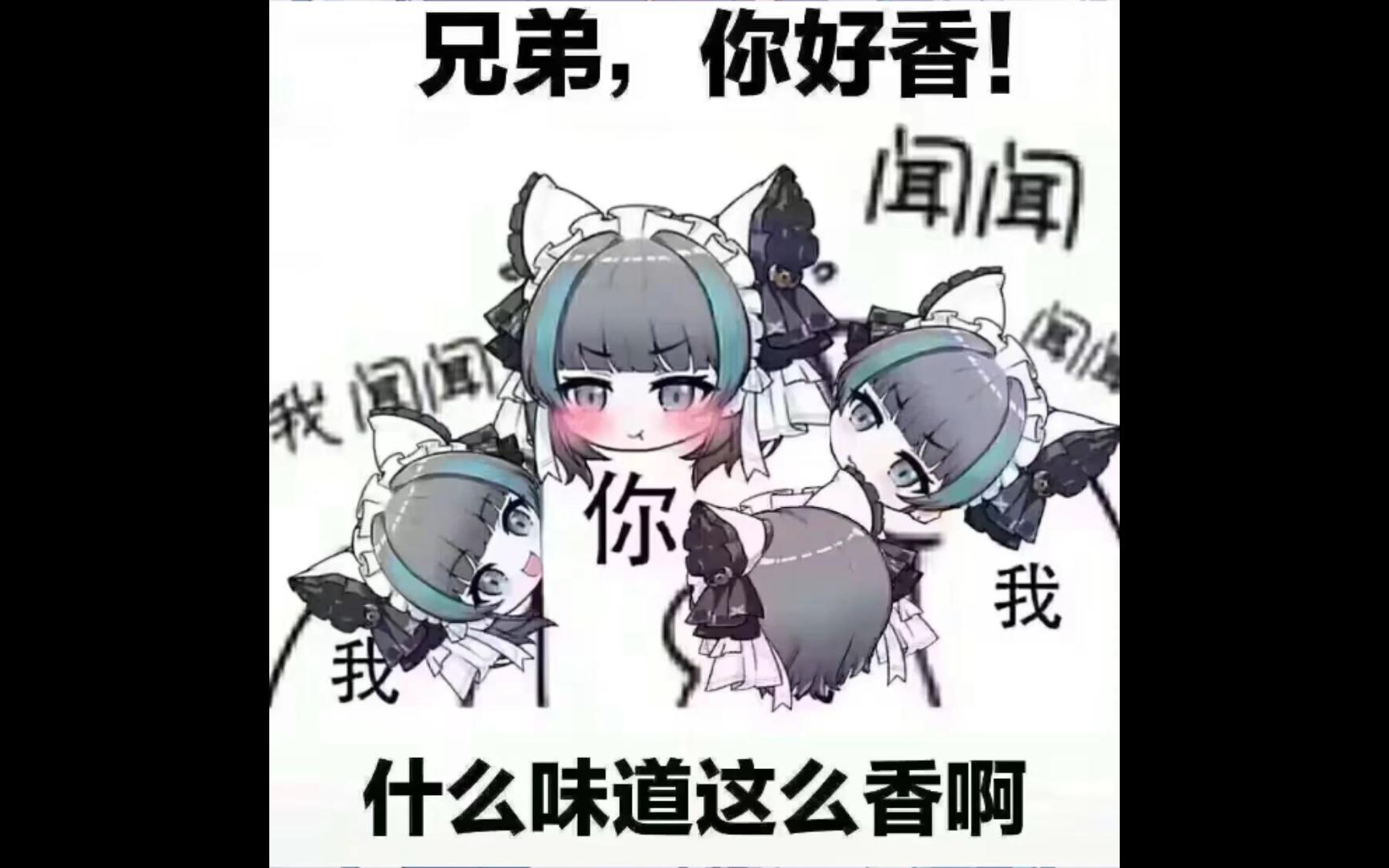 柴郡表情包!!哔哩哔哩bilibili