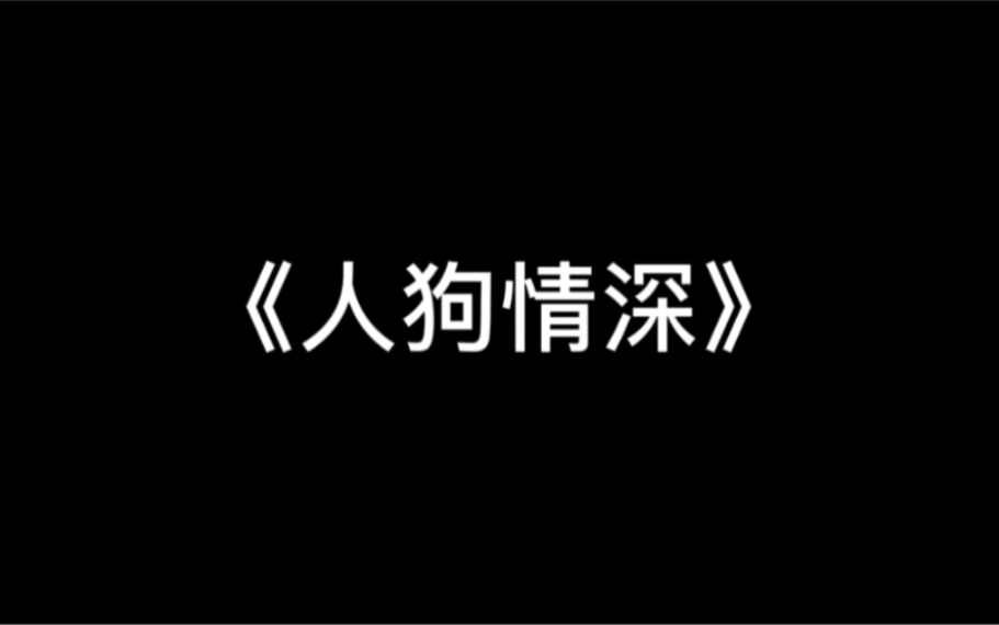 《人狗情深》哔哩哔哩bilibili