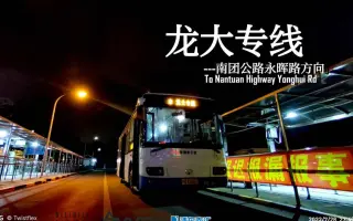 【龙家军末路】 上海公交龙大专线 南团公路永晖路方向 第一视角展望