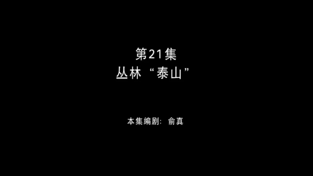 熊出没 第21集 丛林“泰山”哔哩哔哩bilibili