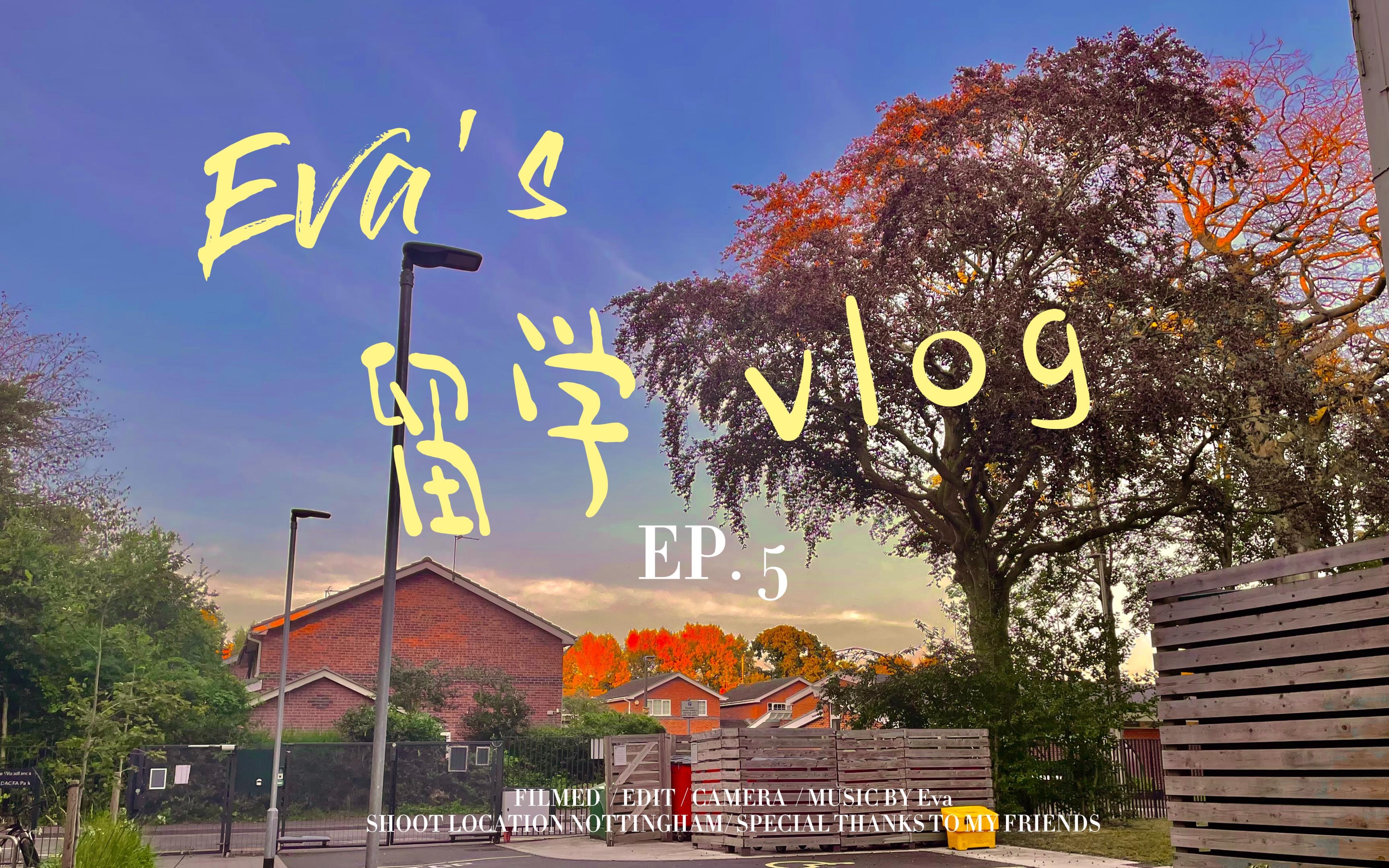 英国留学流水账vlog #5 丨 赶due&final前一周 丨 包饺砸 丨 市中心 丨 日常采购哔哩哔哩bilibili