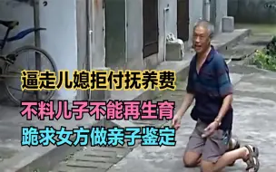 Download Video: 逼走儿媳拒付抚养费，不料儿子不能再生育，跪求女方做亲子鉴定