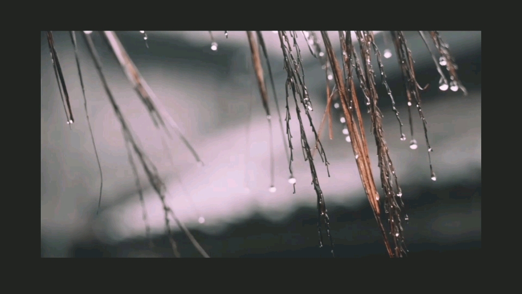 [图]春夜喜雨 杜甫 粤语 雨天 古诗