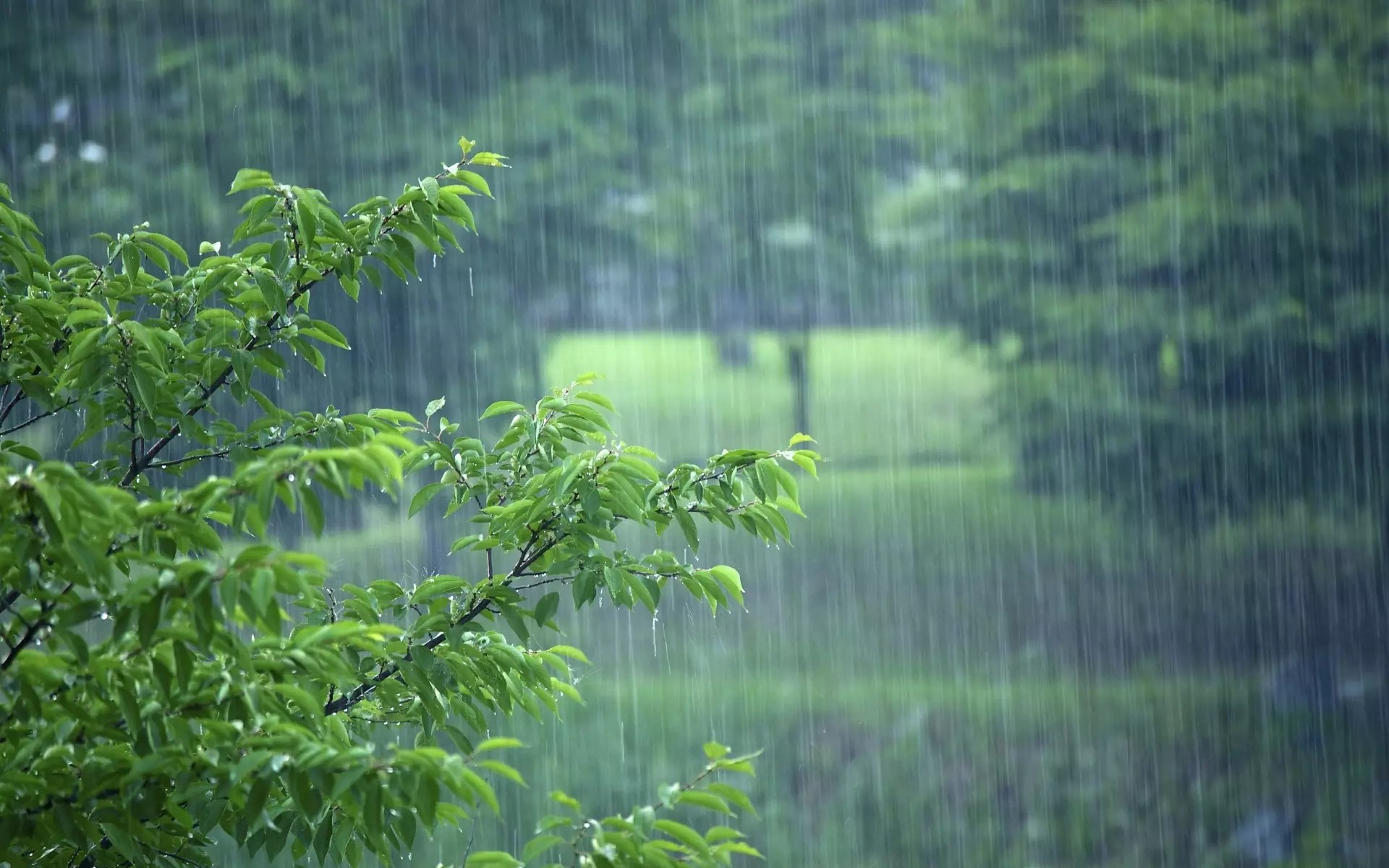 一加7pro慢速镜头