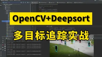 2025超强计算机视觉毕设！基于OpenCV+Deepsort实现多目标追踪，同济大佬手把手教学，比刷剧还爽！