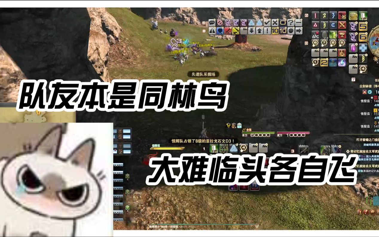 【FF14】队友本是同林鸟大难临头各自飞网络游戏热门视频