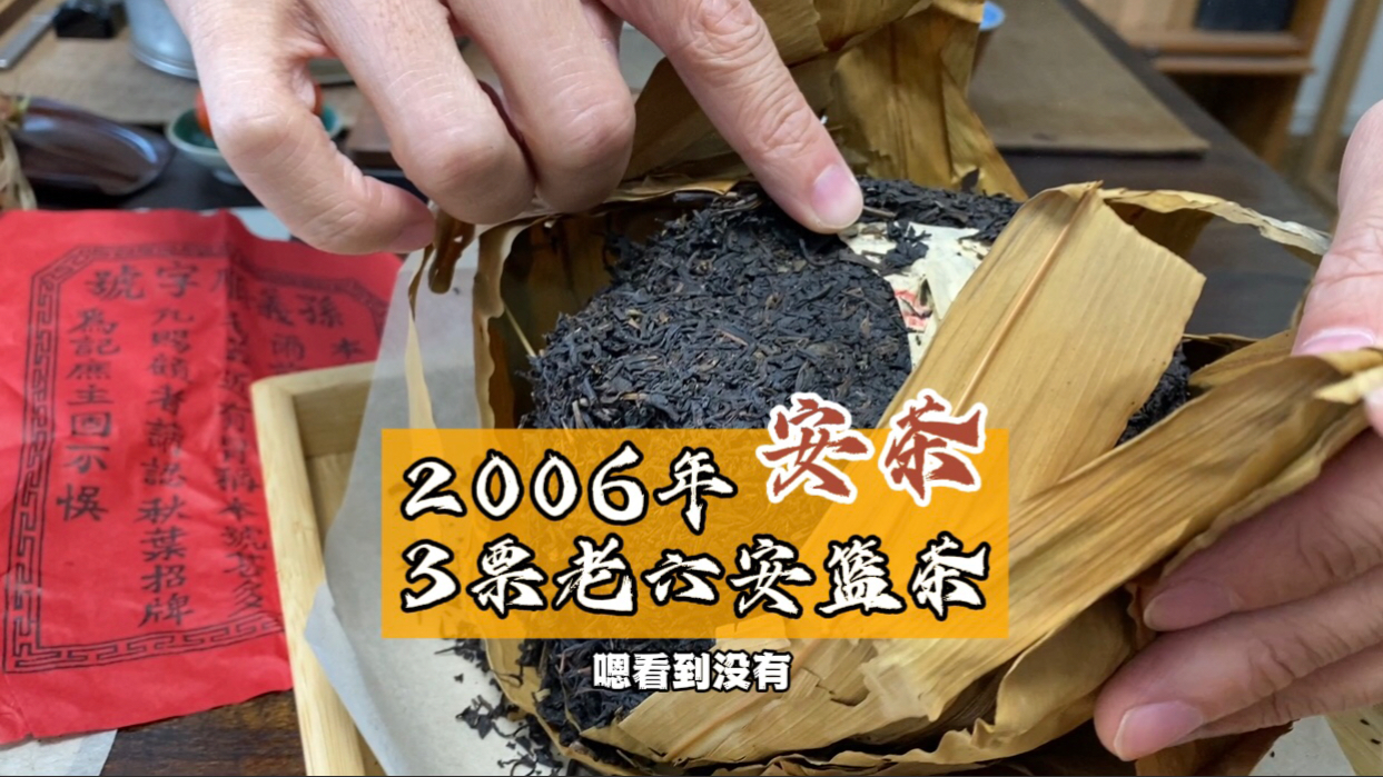 3票老六安篮茶 #祁门安茶 06年纯干仓,好久没喝了,仓库拉了一件拆了#南香茶厂 早期3票毛尖,专业存放,难得好茶好仓#菜鸟茶评测 #这才是芳村哔哩哔...