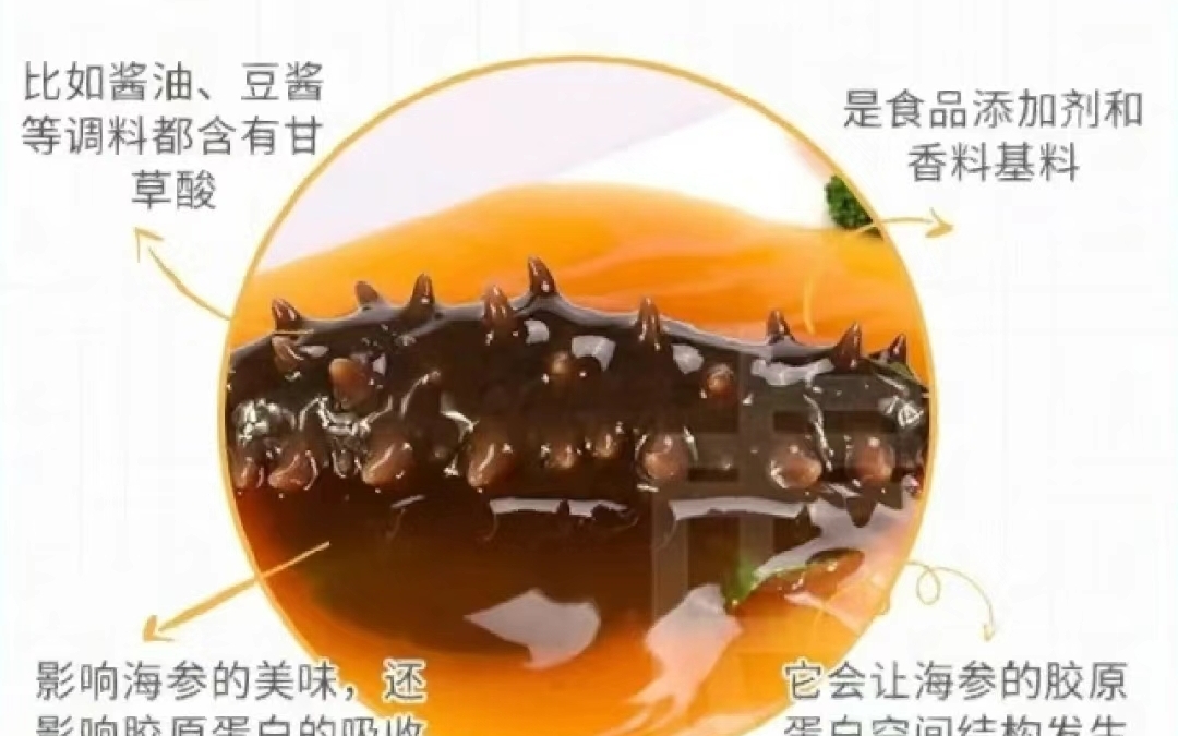 食用海参的6大禁忌哔哩哔哩bilibili