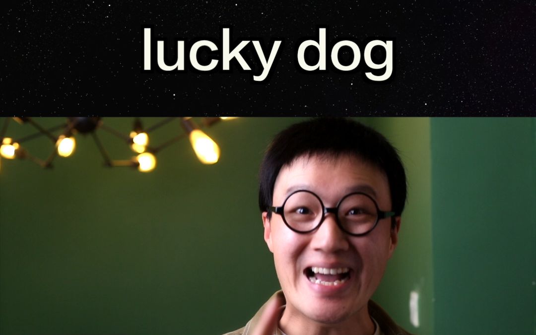 什么是lucky dog?英语么难吗?哔哩哔哩bilibili