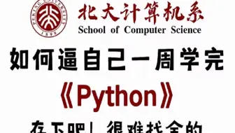 【全400集】从零开始学Python视频教程，从浅入深（全程干货）-零基础入门到精通全套教程，全程干货无废话！这还学不会，我退出IT圈！