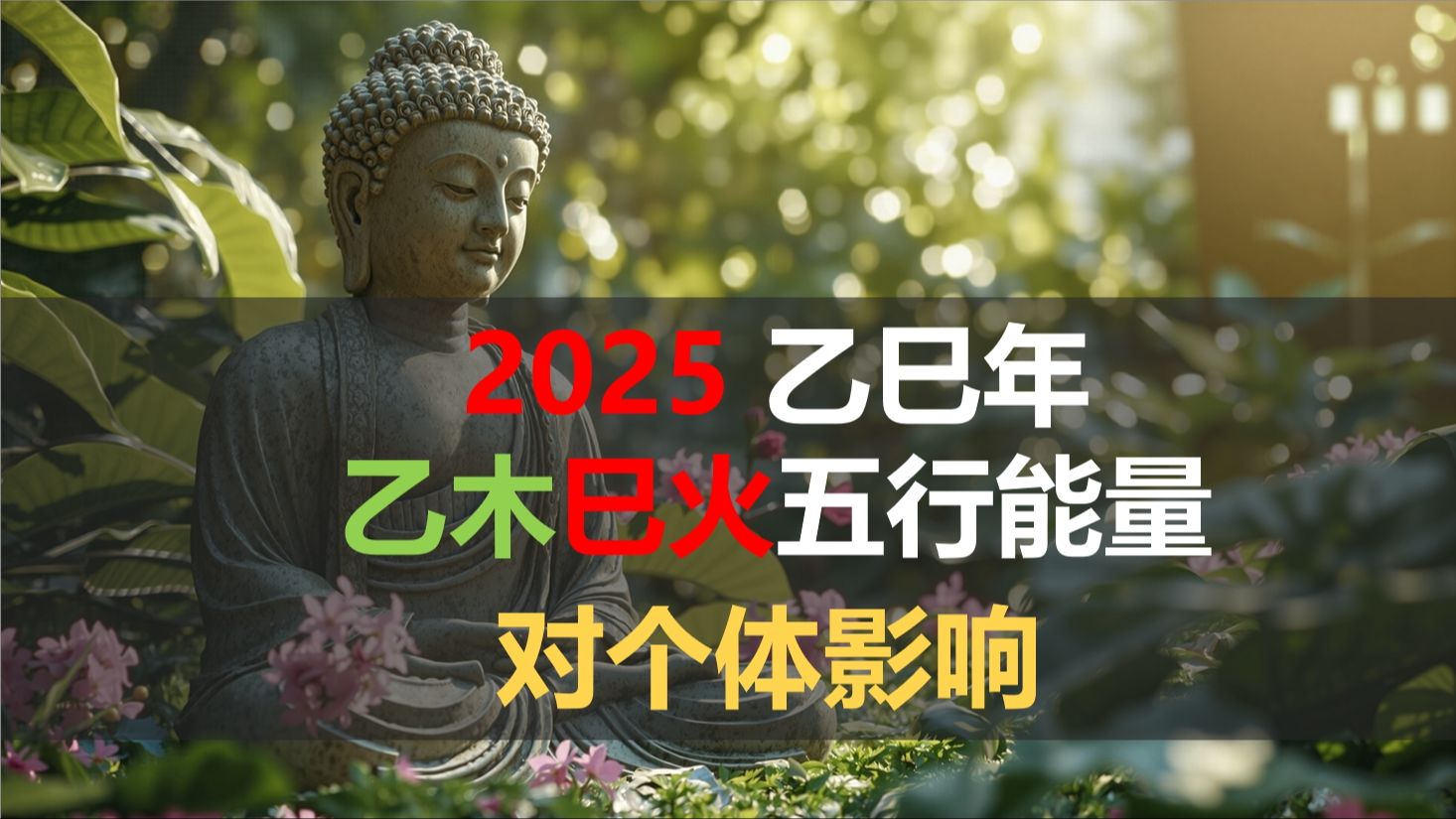 2025 乙巳年五行能量 — 对个体生活影响哔哩哔哩bilibili