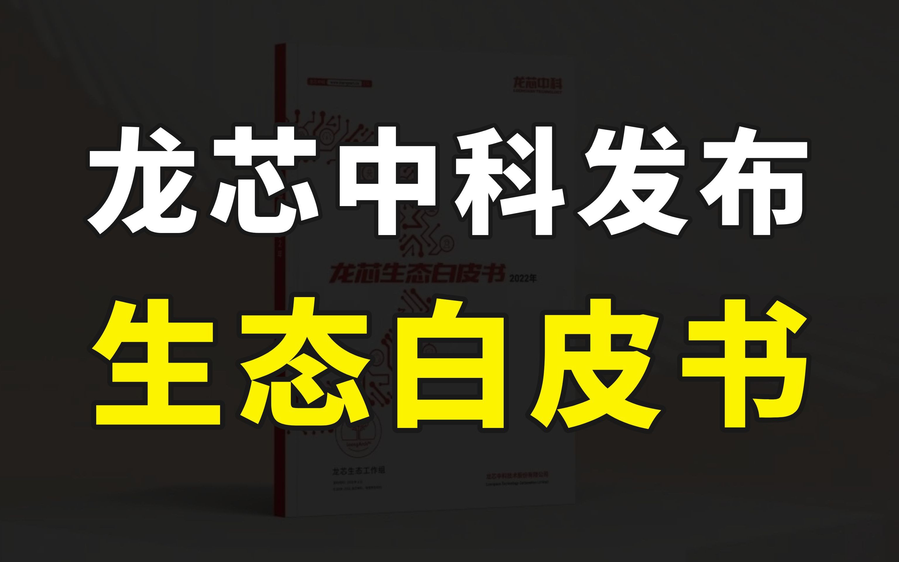 龙芯发布生态白皮书,自主可控CPU布局全面,新一代3A6000即将流片交付哔哩哔哩bilibili