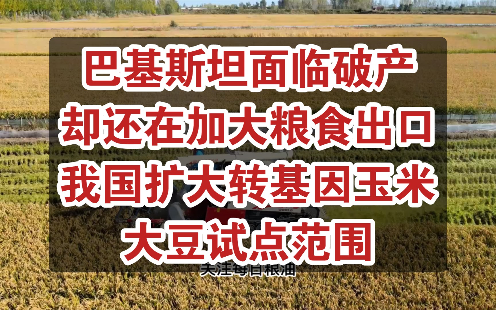 巴基斯坦面临破产,为什么还在加大粮食出口?我国将进一步扩大转基因玉米大豆产业化应用试点范围哔哩哔哩bilibili